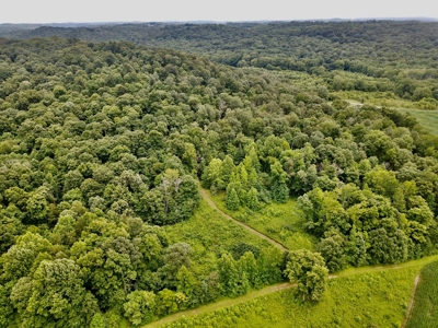 25-Acre Hunting Property Bordering State, Perry County - image 2