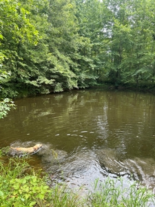 25-Acre Hunting Property Bordering State, Perry County - image 18