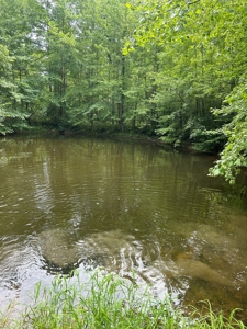 25-Acre Hunting Property Bordering State, Perry County - image 24