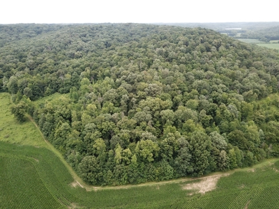 25-Acre Hunting Property Bordering State, Perry County - image 4