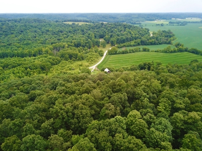 25-Acre Hunting Property Bordering State, Perry County - image 5