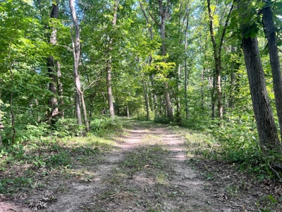 Wapello County, IA Land For Sale! - image 6
