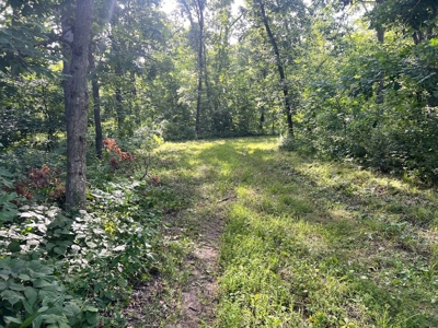 Wapello County, IA Land For Sale! - image 5