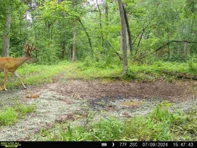 Wapello County, IA Land For Sale! - image 14