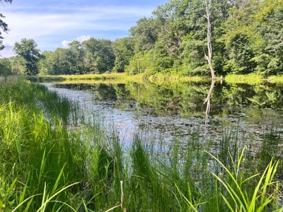 Wapello County, IA Land For Sale! - image 11