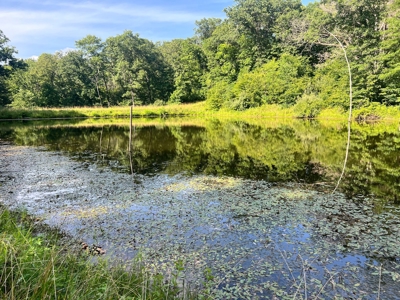 Wapello County, IA Land For Sale! - image 10