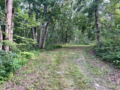 Wapello County, IA Land For Sale! - image 2