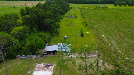 Beautiful Country Home in North Florida with Outdoor Space! - image 2