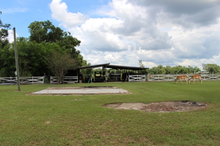 Beautiful Country Home in North Florida with Outdoor Space! - image 13