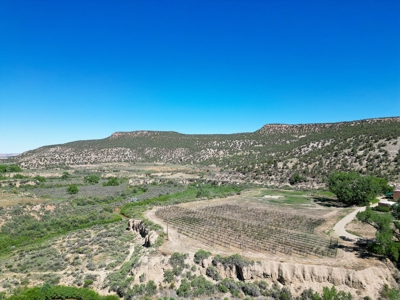Colorado Mountain Vineyard Home and Horse Property For Sale - image 9