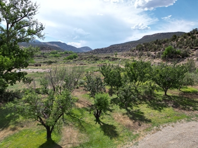 Colorado Mountain Vineyard Home and Horse Property For Sale - image 11