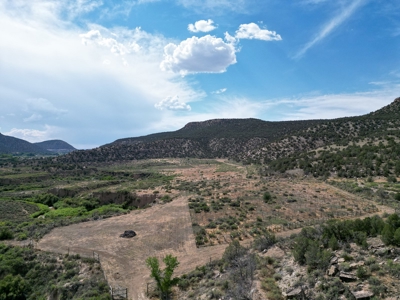Colorado Mountain Vineyard Home and Horse Property For Sale - image 13