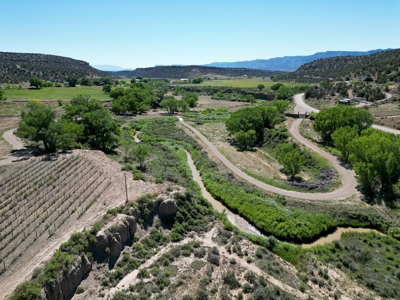 Colorado Mountain Vineyard Home and Horse Property For Sale - image 7