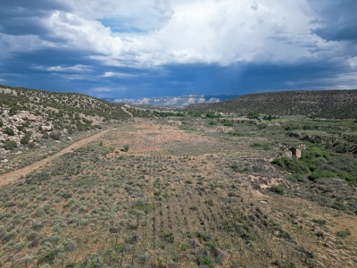 Colorado Mountain Vineyard Home and Horse Property For Sale - image 14