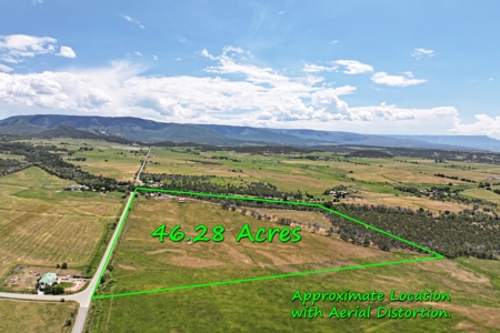 Country Home with Creek, Acreage, Irrigation, Barn, etc. - image 29