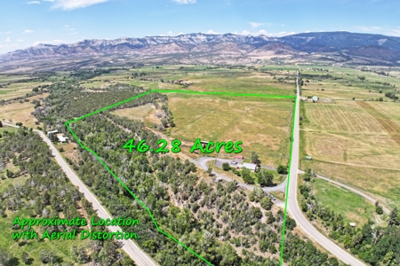 Country Home with Creek, Acreage, Irrigation, Barn, etc. - image 25