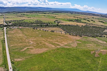 Country Home with Creek, Acreage, Irrigation, Barn, etc. - image 30