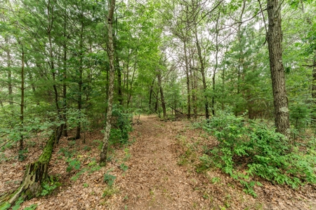 Well Maintained Rural 3 bedroom home in Adams County WI - image 33