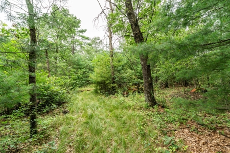 Well Maintained Rural 3 bedroom home in Adams County WI - image 35
