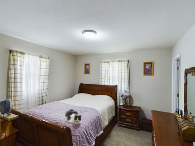 Charming Single Family Ranch Home in Hamburg, IA - image 14