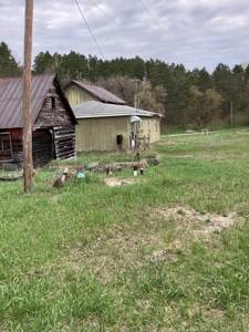 Top producing farm land with home - image 8