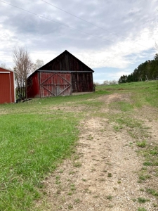 Top producing farm land with home - image 4
