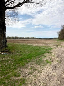 Top producing farm land with home - image 14