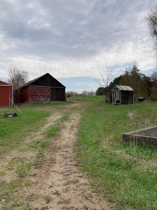 Top producing farm land with home - image 1