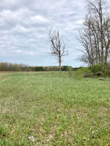 Top producing farm land with home - image 15