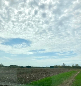 Top producing farm land with home - image 16