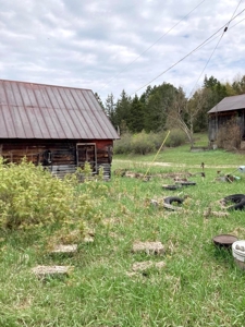 Top producing farm land with home - image 7
