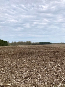Top producing farm land with home - image 11