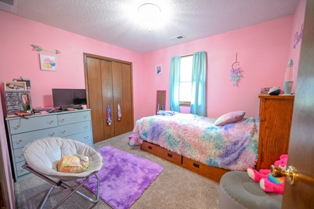 House for sale Adrian MO - image 15