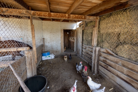 Eastern Oregon Country Home - image 16