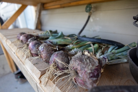 Eastern Oregon Country Home - image 22