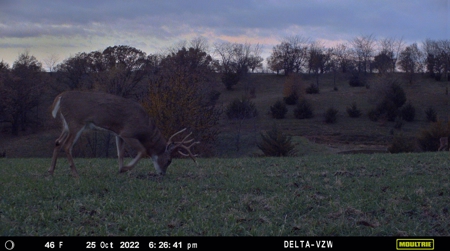 Prime Hunting and Recreational Tract w/ Building Sites - image 33