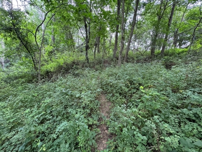 Prime Hunting and Recreational Tract w/ Building Sites - image 35