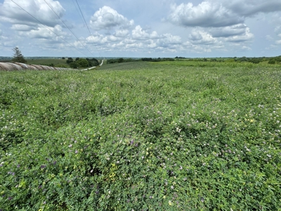 Prime Hunting and Recreational Tract w/ Building Sites - image 44