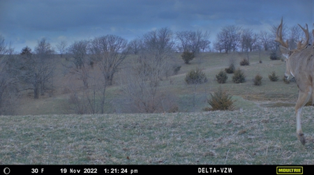Prime Hunting and Recreational Tract w/ Building Sites - image 24