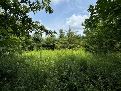Prime Hunting and Recreational Tract w/ Building Sites - image 40