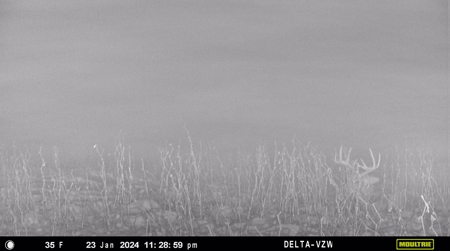 Prime Hunting and Recreational Tract w/ Building Sites - image 26