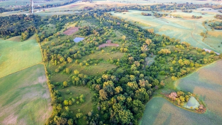 Prime Hunting and Recreational Tract w/ Building Sites - image 4