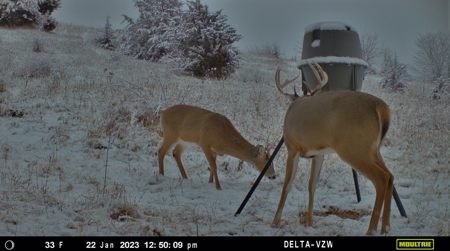 Prime Hunting and Recreational Tract w/ Building Sites - image 25