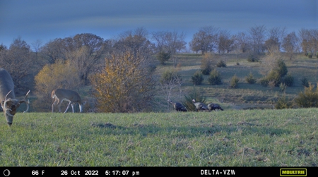 Prime Hunting and Recreational Tract w/ Building Sites - image 28