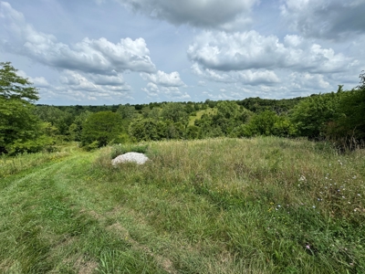 Prime Hunting and Recreational Tract w/ Building Sites - image 43