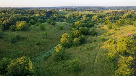 Prime Hunting and Recreational Tract w/ Building Sites - image 16
