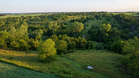Prime Hunting and Recreational Tract w/ Building Sites - image 19