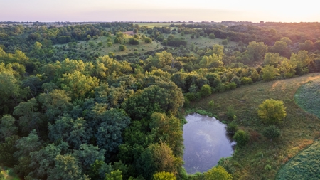 Prime Hunting and Recreational Tract w/ Building Sites - image 9
