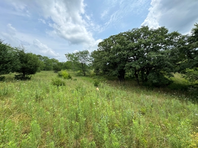 Prime Hunting and Recreational Tract w/ Building Sites - image 45