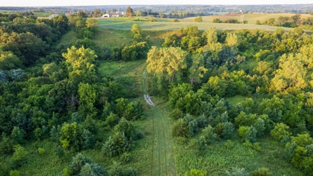 Prime Hunting and Recreational Tract w/ Building Sites - image 18